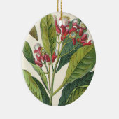 ヴィンテージハーブ香辛料、クローブ植物 セラミックオーナメント (右)