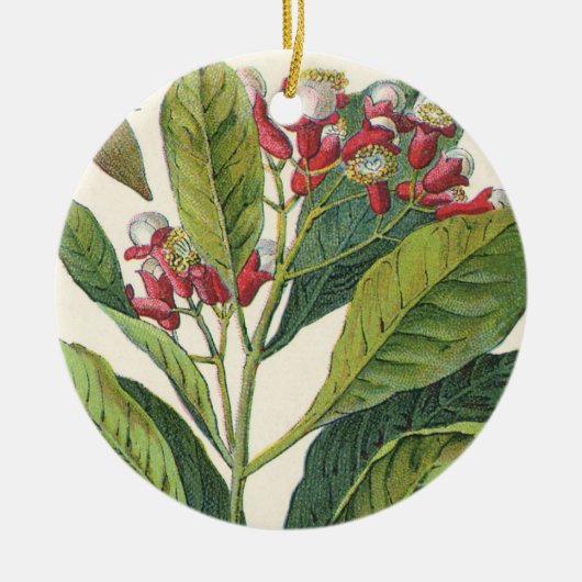 ヴィンテージハーブ香辛料、クローブ植物 セラミックオーナメント (正面)