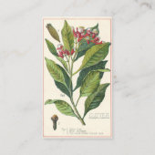 ヴィンテージハーブ香辛料、クローブ植物 名刺 (裏面)