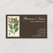 ヴィンテージハーブ香辛料、クローブ植物 名刺 (正面)