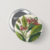 ヴィンテージハーブ香辛料、クローブ植物 缶バッジ (正面&裏面)