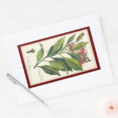 ヴィンテージハーブ香辛料、クローブ植物 長方形シール (封筒)