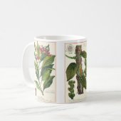 ヴィンテージハーブ香辛料、クローブ、ブラックペッパー、ナツメグ コーヒーマグカップ (正面左)