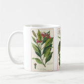 ヴィンテージハーブ香辛料、クローブ、ブラックペッパー、ナツメグ コーヒーマグカップ (左)