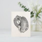 ヴィンテージハープシーシェルアンティークシェルテンプレート ポストカード (スタンド正面)