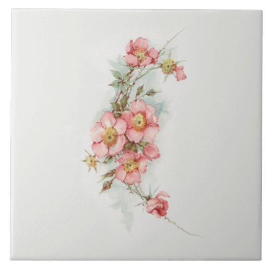 ヴィンテージハ色彩の鮮やかンドスタイルワイルドバラ タイル (正面)