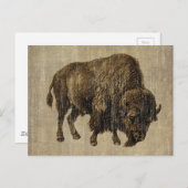 ヴィンテージバイソン ポストカード (正面/裏面)