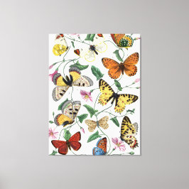 ヴィンテージバタフライとガ絵画ス キャンバスプリント