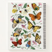 ヴィンテージバタフライとガ絵画ス ノートブック (裏面)