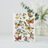 ヴィンテージバタフライとガ絵画ス ポストカード (スタンド正面)