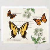 ヴィンテージバタフライアゲハチョウ(昆虫)オオカバマダラ、モナーク絵を描レディ (正面/裏面)