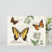 ヴィンテージバタフライアゲハチョウ(昆虫)オオカバマダラ、モナーク絵を描レディ (スタンド正面)