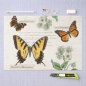 ヴィンテージバタフライアゲハチョウ（昆虫）オオカバマダラ、モナーク絵を描レディ 薄葉紙 (クラフト)