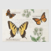 ヴィンテージバタフライアゲハチョウ（昆虫）オオカバマダラ、モナーク絵を描レディ 薄葉紙 (正面)