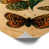 ヴィンテージバタフライアンドキャタピラーコレクション ポスター (角)