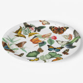 ヴィンテージバタフライアート、多くの種類と色、白 ペーパープレート (アングル)