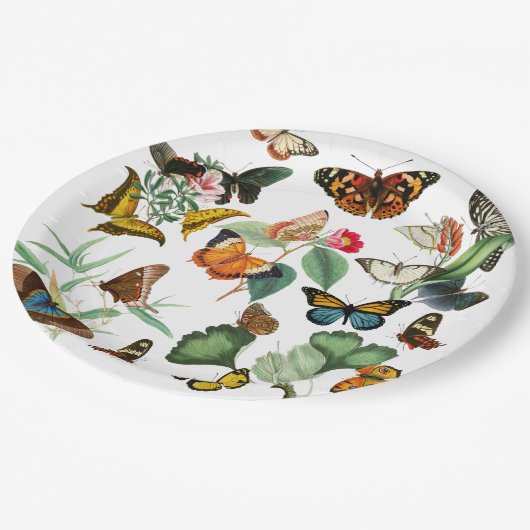 ヴィンテージバタフライアート、多くの種類と色、白 ペーパープレート (アングル)