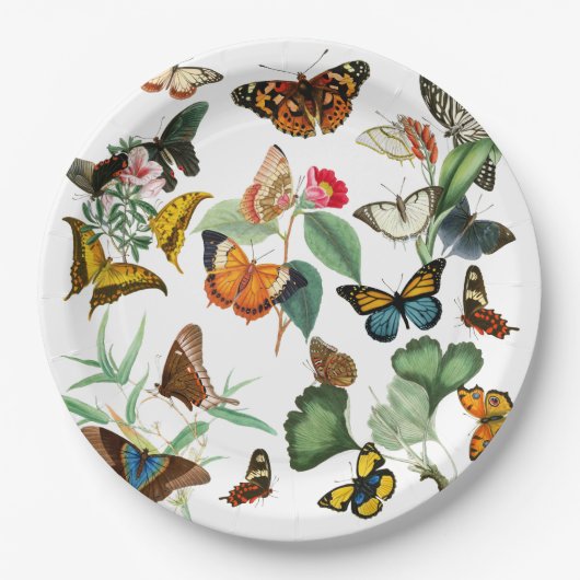 ヴィンテージバタフライアート、多くの種類と色、白 ペーパープレート (正面)