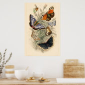 ヴィンテージバタフライイラストレーションバイオリバーゴールドスミス ポスター (キッチン)