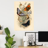 ヴィンテージバタフライイラストレーションバイオリバーゴールドスミス ポスター (ホームオフィス)