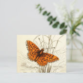 ヴィンテージバタフライイラストレーション、オレンジとブラック ポストカード (スタンド正面)