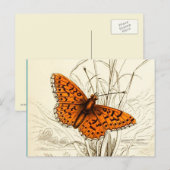 ヴィンテージバタフライイラストレーション、オレンジとブラック ポストカード (正面/裏面)