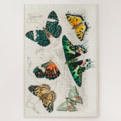 ヴィンテージバタフライオールドイラストレーションアート ジグソーパズル (縦)