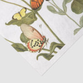 ヴィンテージバタフライガーデンティッシュ 薄葉紙 (詳細)