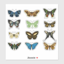 ヴィンテージバタフライセット2ステッカー シール