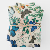 ヴィンテージバタフライデカッページ紙フローラ植物学 ラッピングペーパーシート (インサイチュ)