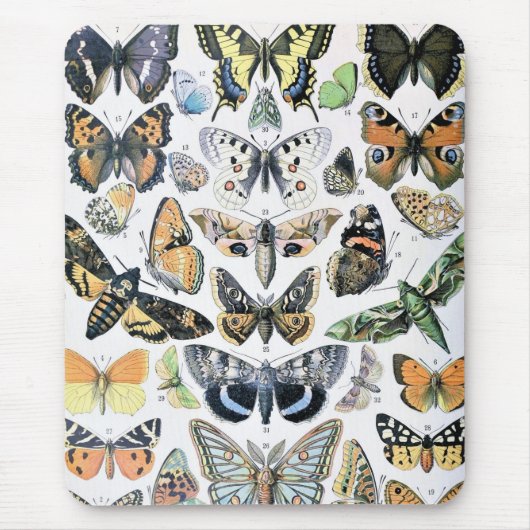 ヴィンテージバタフライパピロンオールドイラストレーションアート マウスパッド (正面)