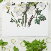 ヴィンテージバタフライパピロンオールドイラストレーション キッチンタオル (折り畳み)