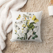 ヴィンテージバタフライパピロンオールドイラストレーション クッション (ブランケット)