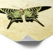 ヴィンテージバタフライプリント085 ポスター (角)