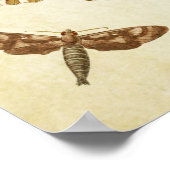 ヴィンテージバタフライプリント088 ポスター (角)