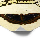 ヴィンテージバタフライプリント167 ポスター (角)