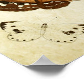 ヴィンテージバタフライプリント171 ポスター (角)