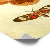 ヴィンテージバタフライプリント197 ポスター (角)