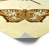 ヴィンテージバタフライプリント202 ポスター (角)