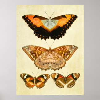 ヴィンテージバタフライプリント218 ポスター