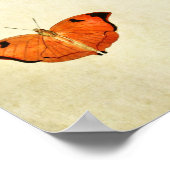 ヴィンテージバタフライプリント235 ポスター (角)