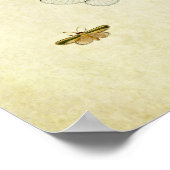 ヴィンテージバタフライプリント355 ポスター (角)