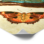 ヴィンテージバタフライプリント389 ポスター (角)