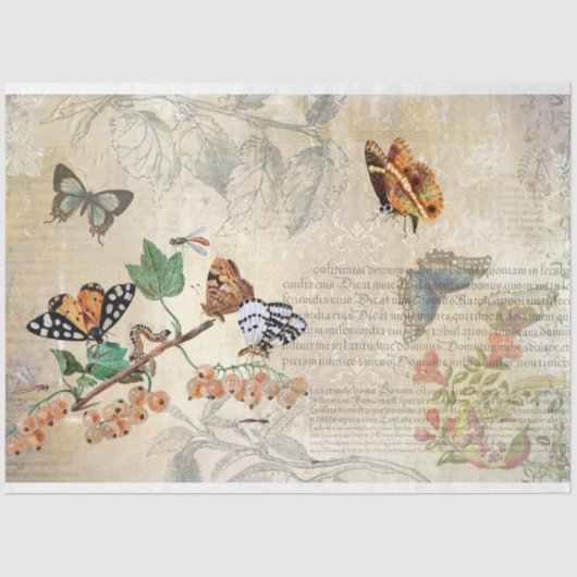 ヴィンテージバタフライボタニカルエフェメラデクページ 薄葉紙 (正面)