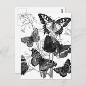 ヴィンテージバタフライ蝶プリント ポストカード (正面/裏面)