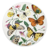 ヴィンテージバタフライ&モス  セラミックノブ (正面)