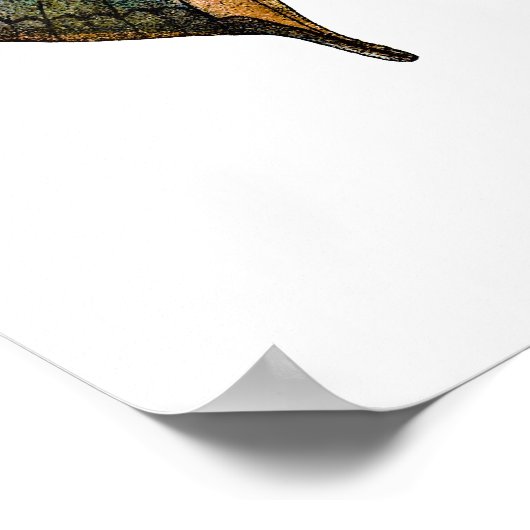 ヴィンテージバタフライ – 1800のアンティークバタフライリソ ポスター (角)