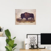 ヴィンテージバッファローポスターまたはデクページ紙 ポスター (ホームオフィス)