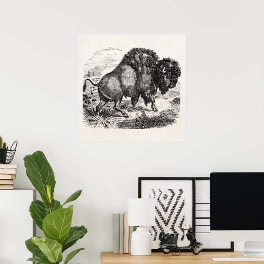 ヴィンテージバッファローレトロバイソンアニマルイラストレーション ポスター (ホームオフィス)