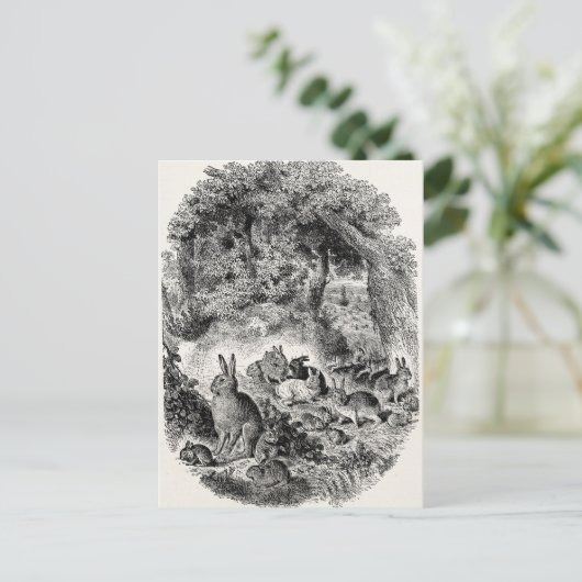 ヴィンテージバニーウサギ1800年代バニーズウサギ ポストカード (スタンド正面)